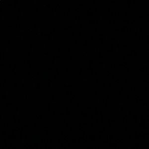 Meet your Posher, Fiza